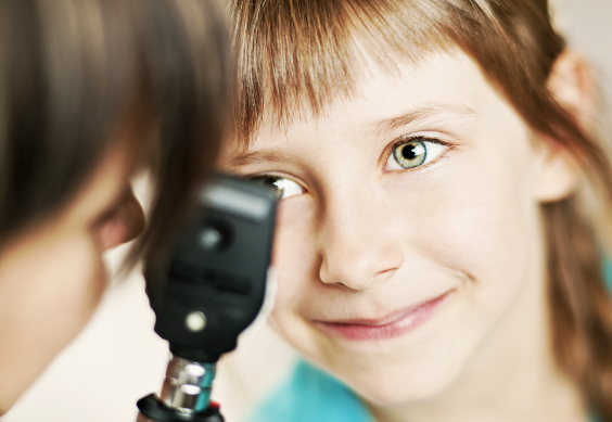 OpticalWeb, Prescrições   de Optometria/ Contactologia