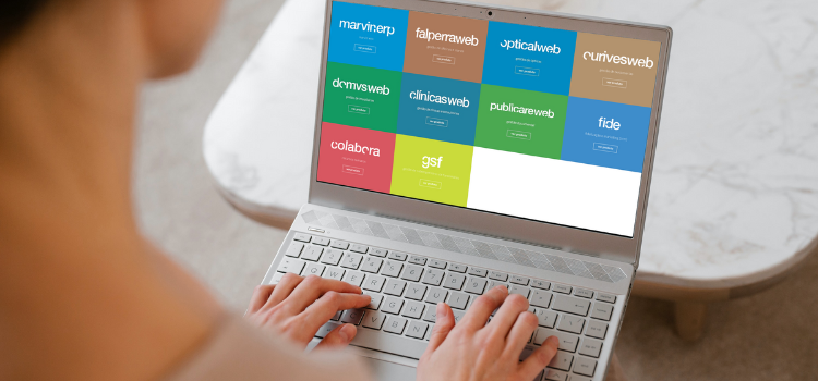 Algumas razões para escolher um software Ponto 25